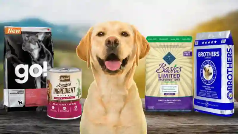 Dog Food for Dogs with Gastrointestinal Issues: Digestive Health